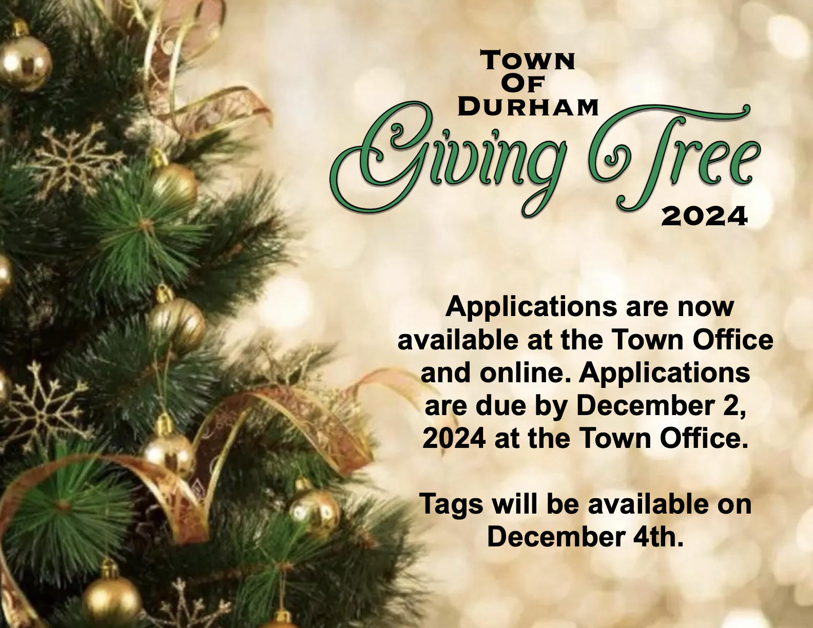 Giving Tree 2024